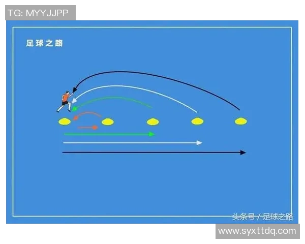 足球联赛球队赛季表现与整体体能分布规律及互动关系研究